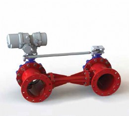 A 3D model of the valves