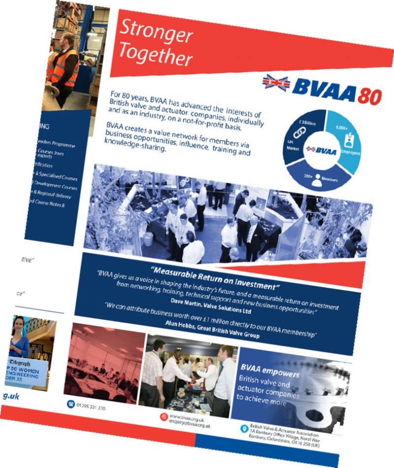BVAAs New Stronger Together Leaflet